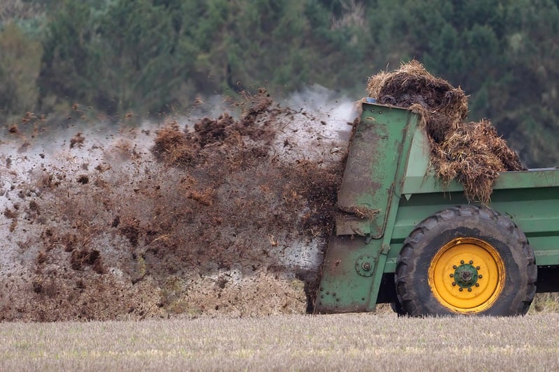 Stardust Fertilizers