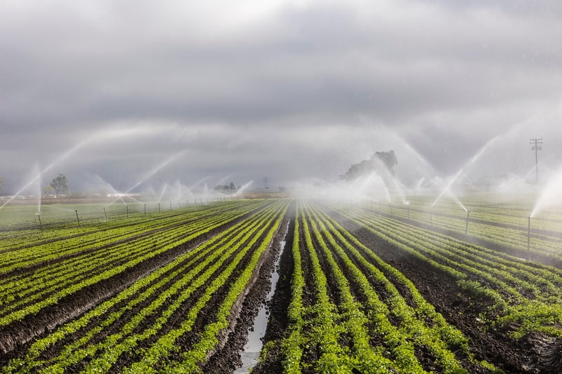 Sunbeam Irrigation Methods